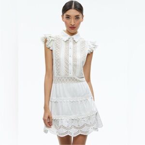 Alice + Olivia Meeko Embroidered Ruffled Sleeve Shirt Dress